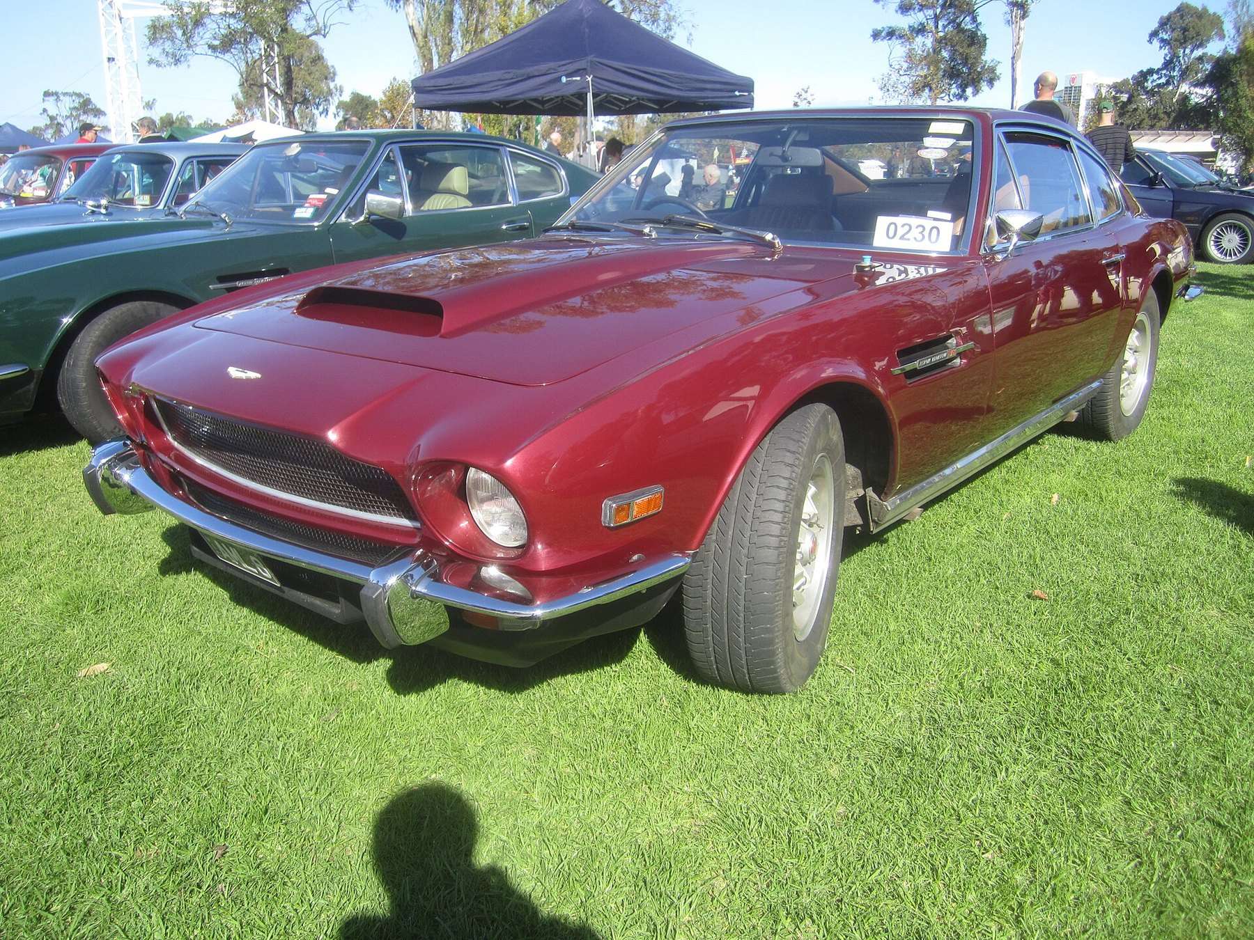 Aston Martin AM V8 and V8 Volante