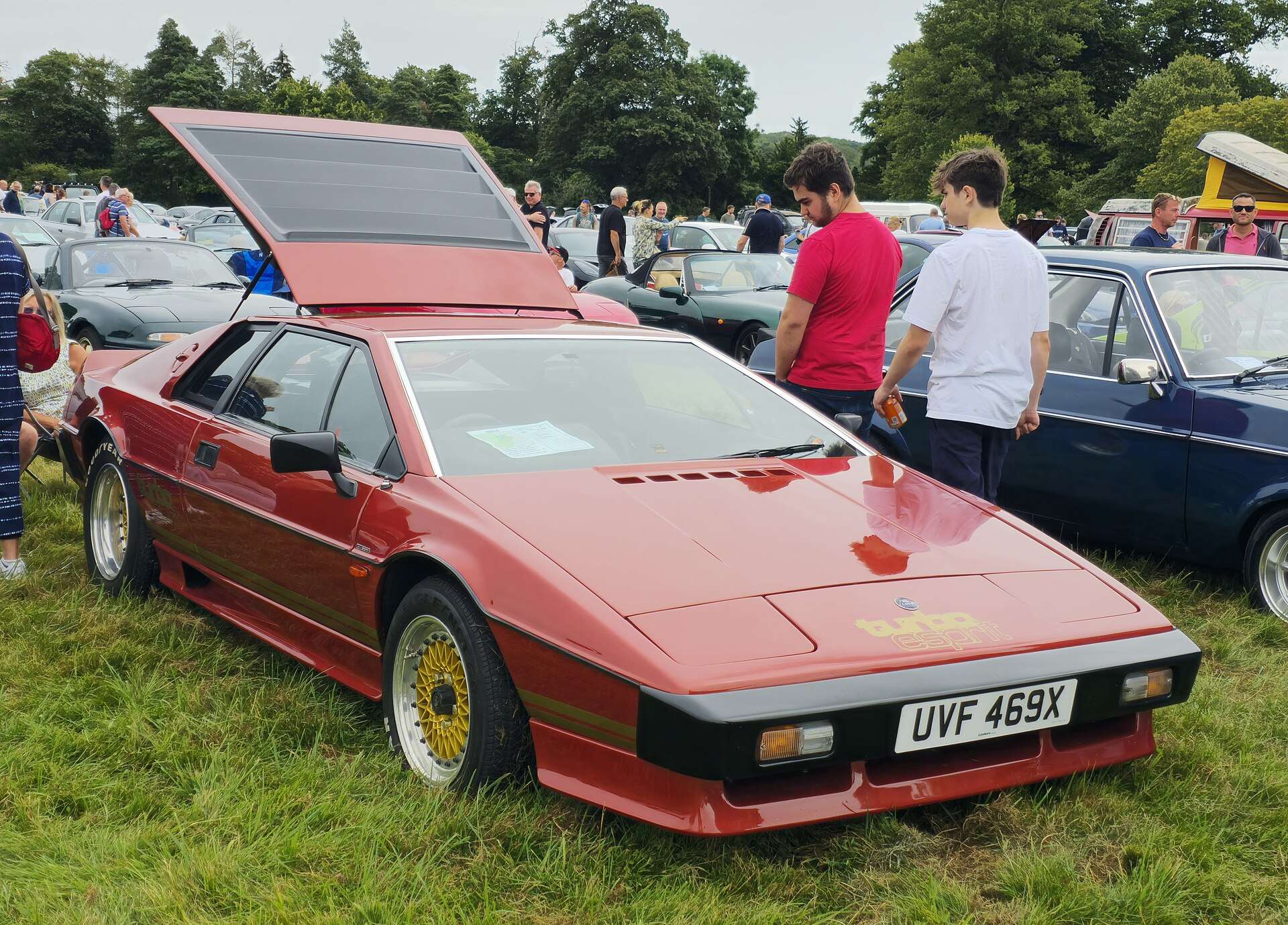 1981 Lotus Esprit Turbo