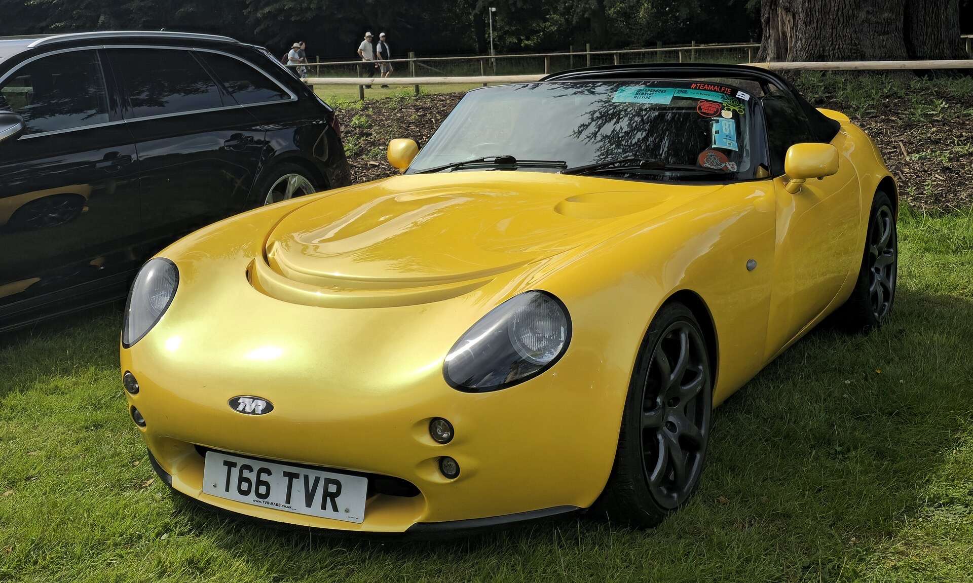TVR Tamora side profile