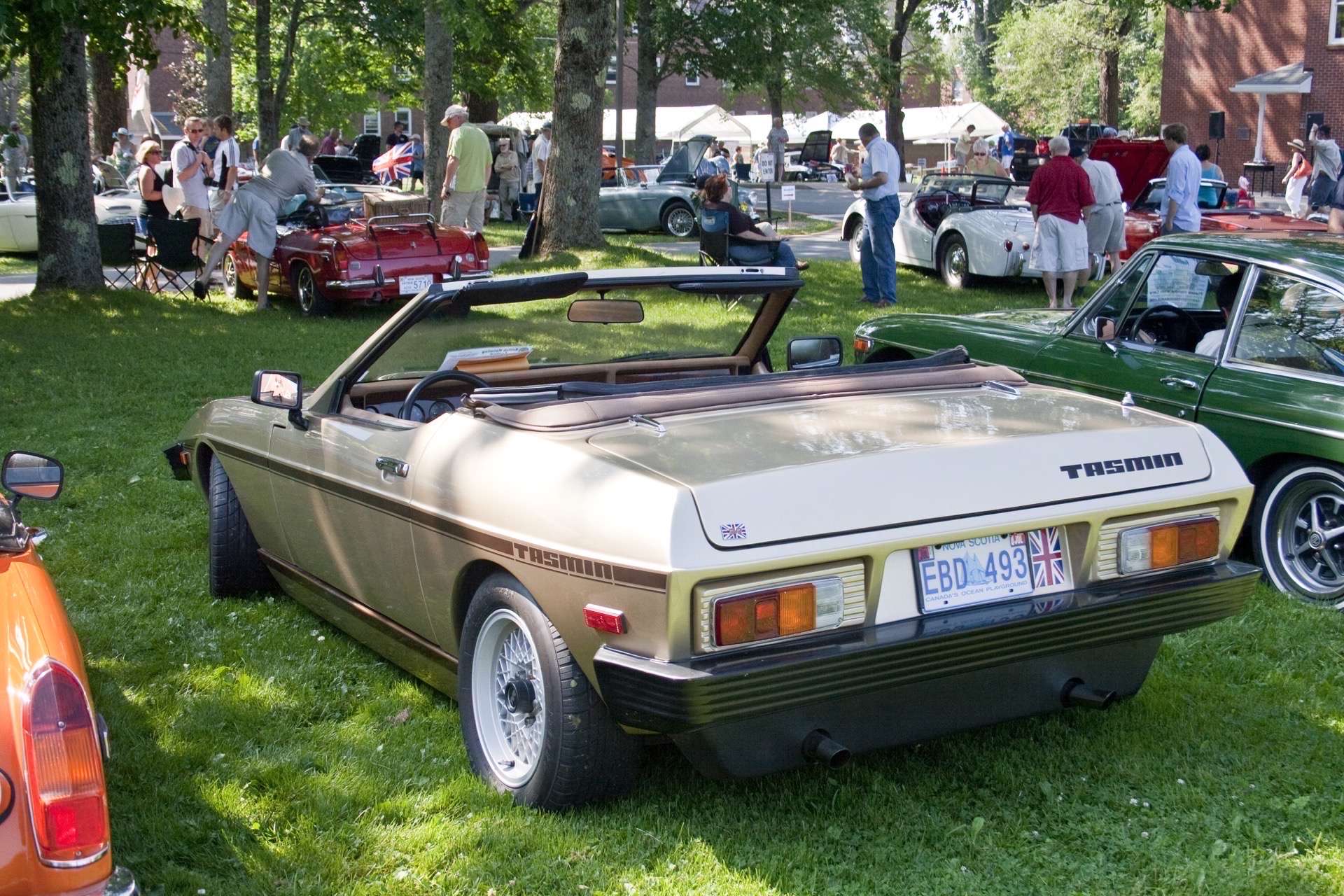 TVR Tasmin rear view